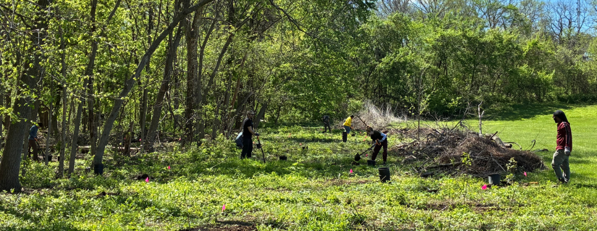 Tree Planting at the HOP